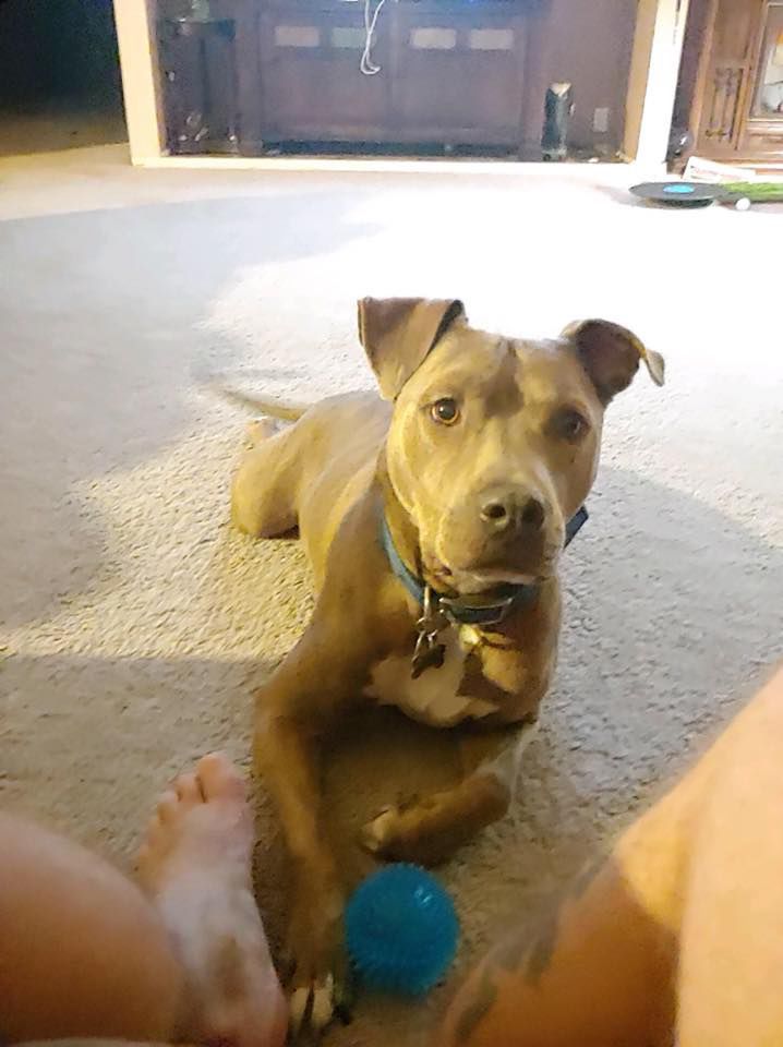 Linus
